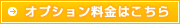 オプション料金はこちら