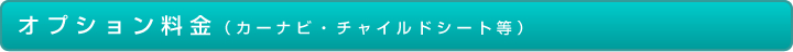 オプション料金（カーナビ・チャイルドシート等）