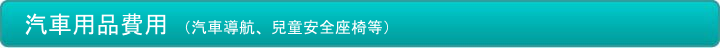 汽車用品費用（汽車導航、兒童安全座椅等）